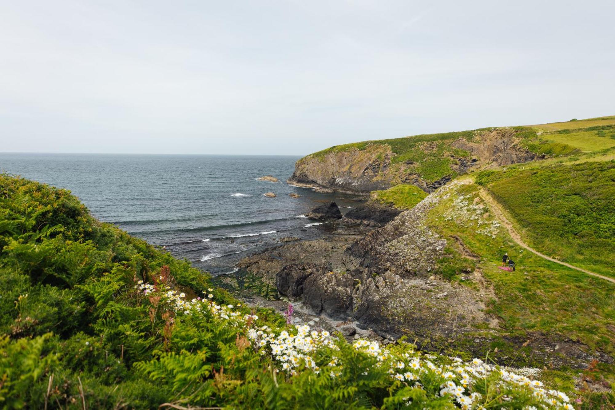 Cliff-Top Cottage On Coast Path W/Panoramic Views Trevine Luaran gambar